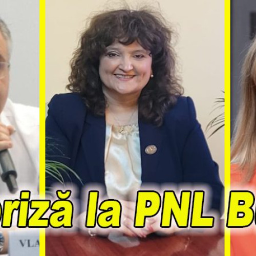 Claudia Benchescu, câștigătoarea internelor PNL Buzău pentru Senat