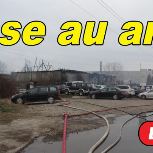 Incendiu devastator pe Șoseaua Brăilei: șase mașini distruse