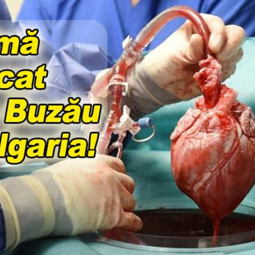 Inima unui buzoian salvează vieți în Bulgaria