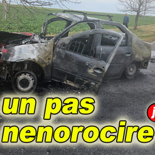 Accident grav pe drumul național DN22