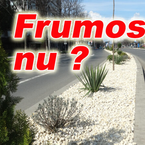 Îngrijirea spațiilor verzi pe Bdul. Unirii preluată de Urbis Serv