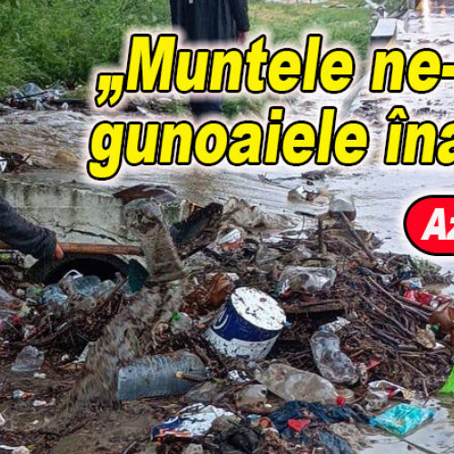 Comentariu despre efectele viiturii din Buzău: &quot;Muntele ne-a dat gunoaiele înapoi&quot;