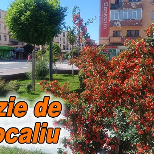 Zona din fața primăriei Buzău prinsă în nuanțe de portocaliu datorită cătinei