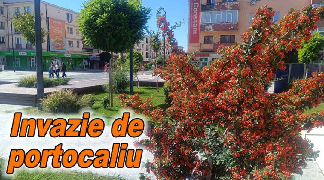 Zona din fața primăriei Buzău prinsă în nuanțe de portocaliu datorită cătinei