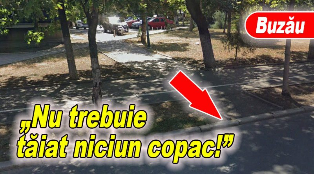 Locatarii din Crâng solicită o alee nouă spre Bd. N. Bălcescu